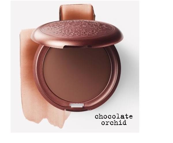 Chocolate Orchid | Shop Now