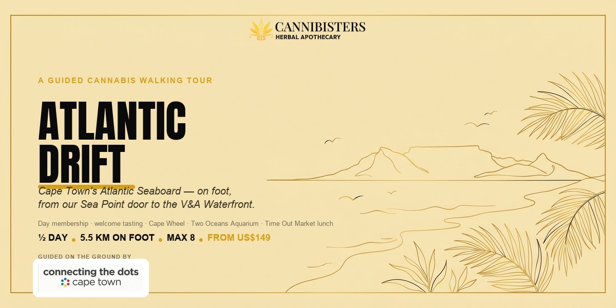 Atlantic Drift — a guided cannabis walking tour along Cape Town's Atlantic seaboard, Sea Point to the V&A Waterfront, guided by Connecting the Dots. Half day, 5.5km, max 8, from US$149.