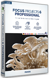 FOCUS projects 6 Professional