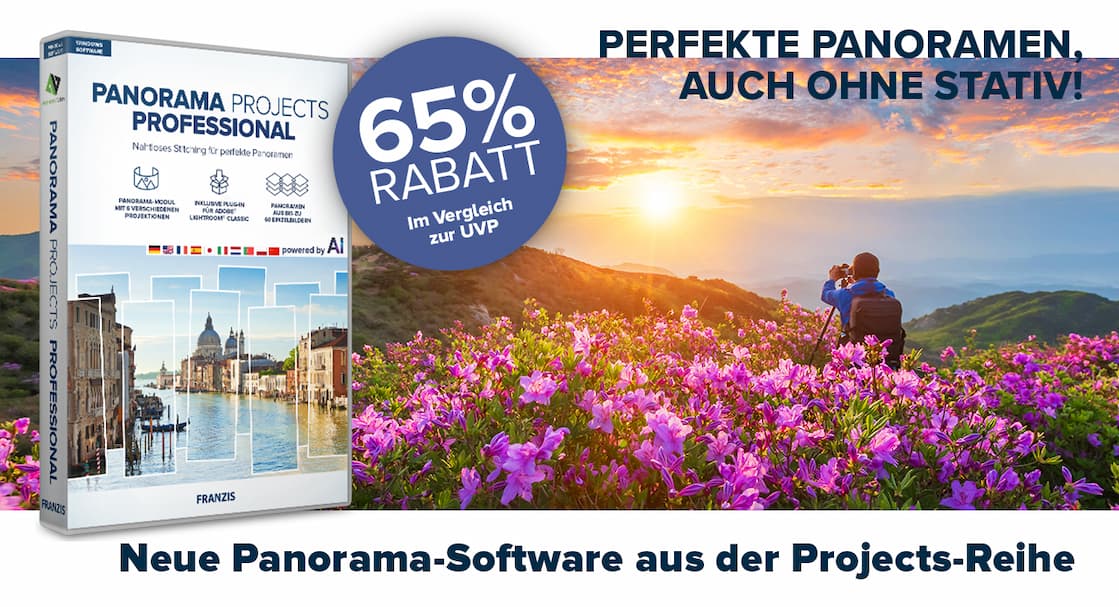 Panorama projects professional