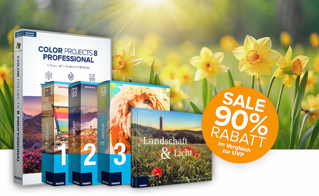 COLOR projects 8 Professional Bundle