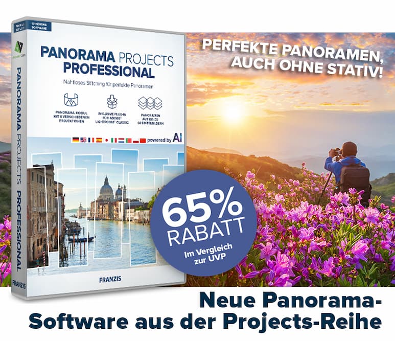 Panorama projects professional