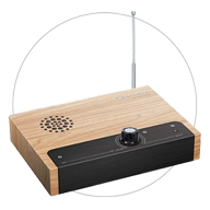 FRANZIS Theremin selber bauen