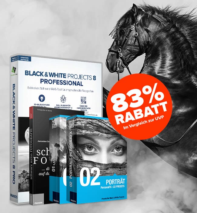 Black & White projects 8 Professional Bundle