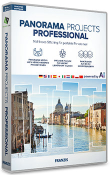 Panorama projects professional
