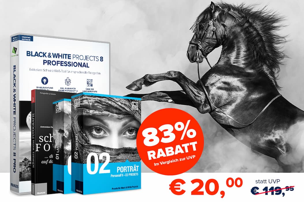 Black & White projects 8 Professional Bundle