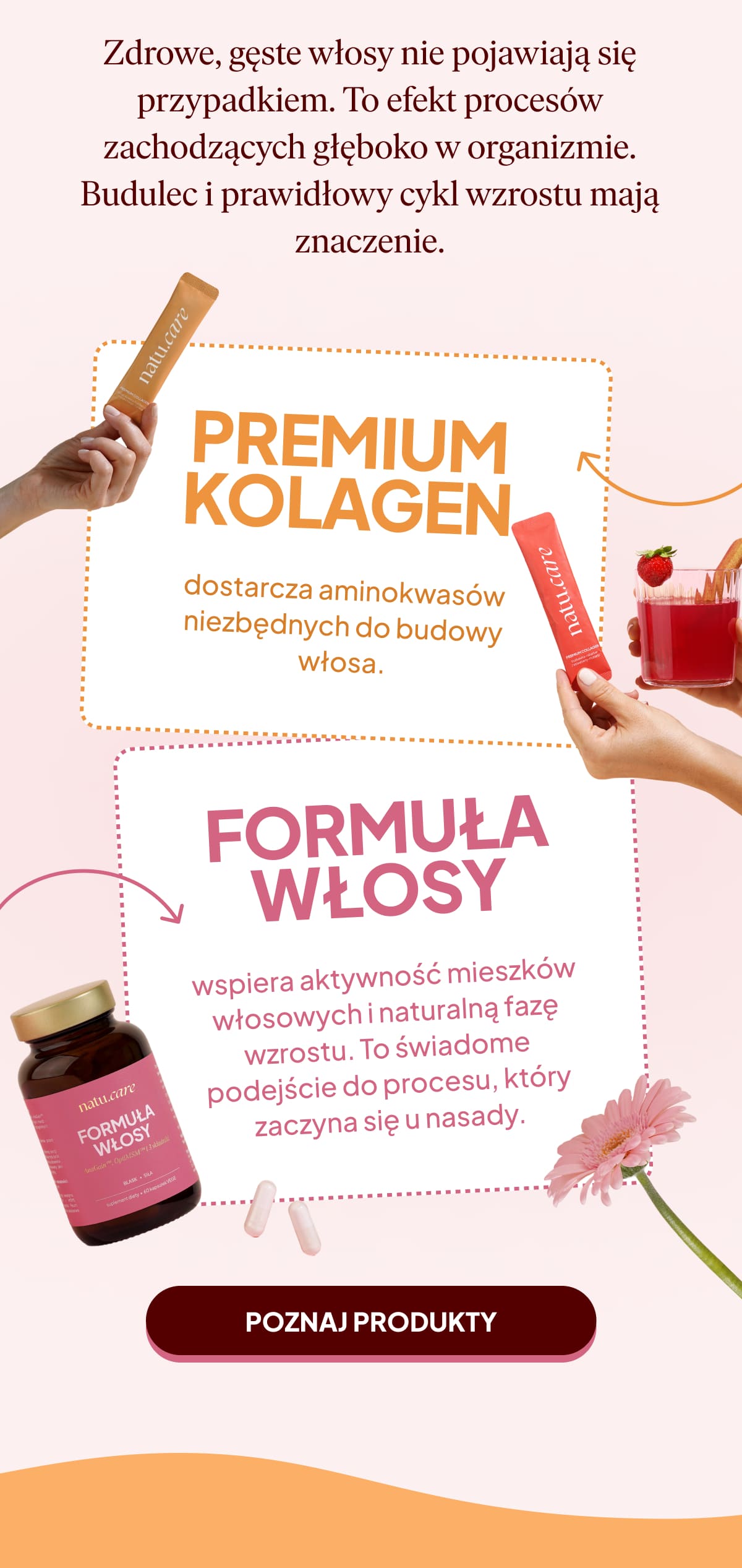 Poznaj nasze produkty