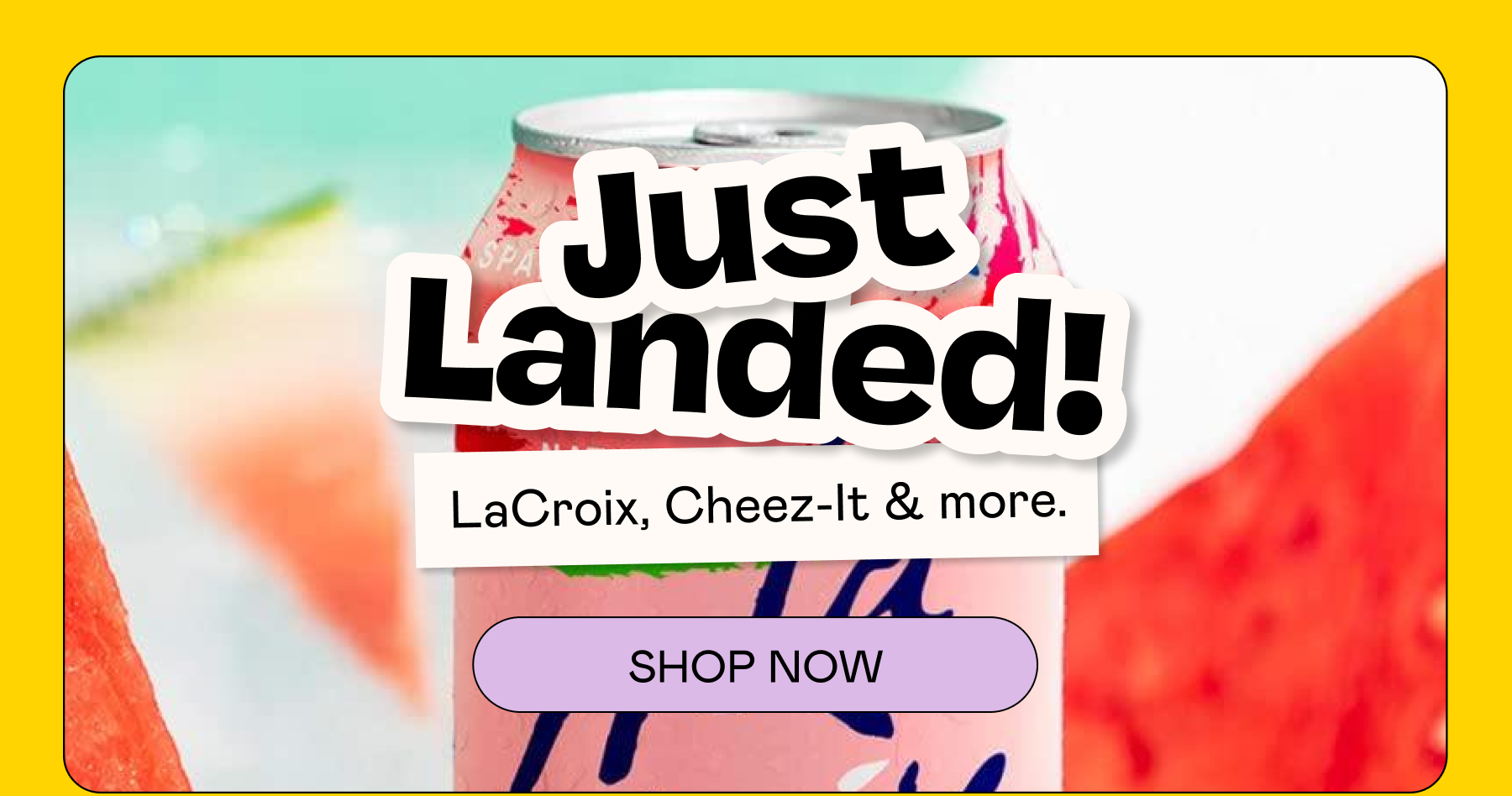 Just Landed | SHOP NOW