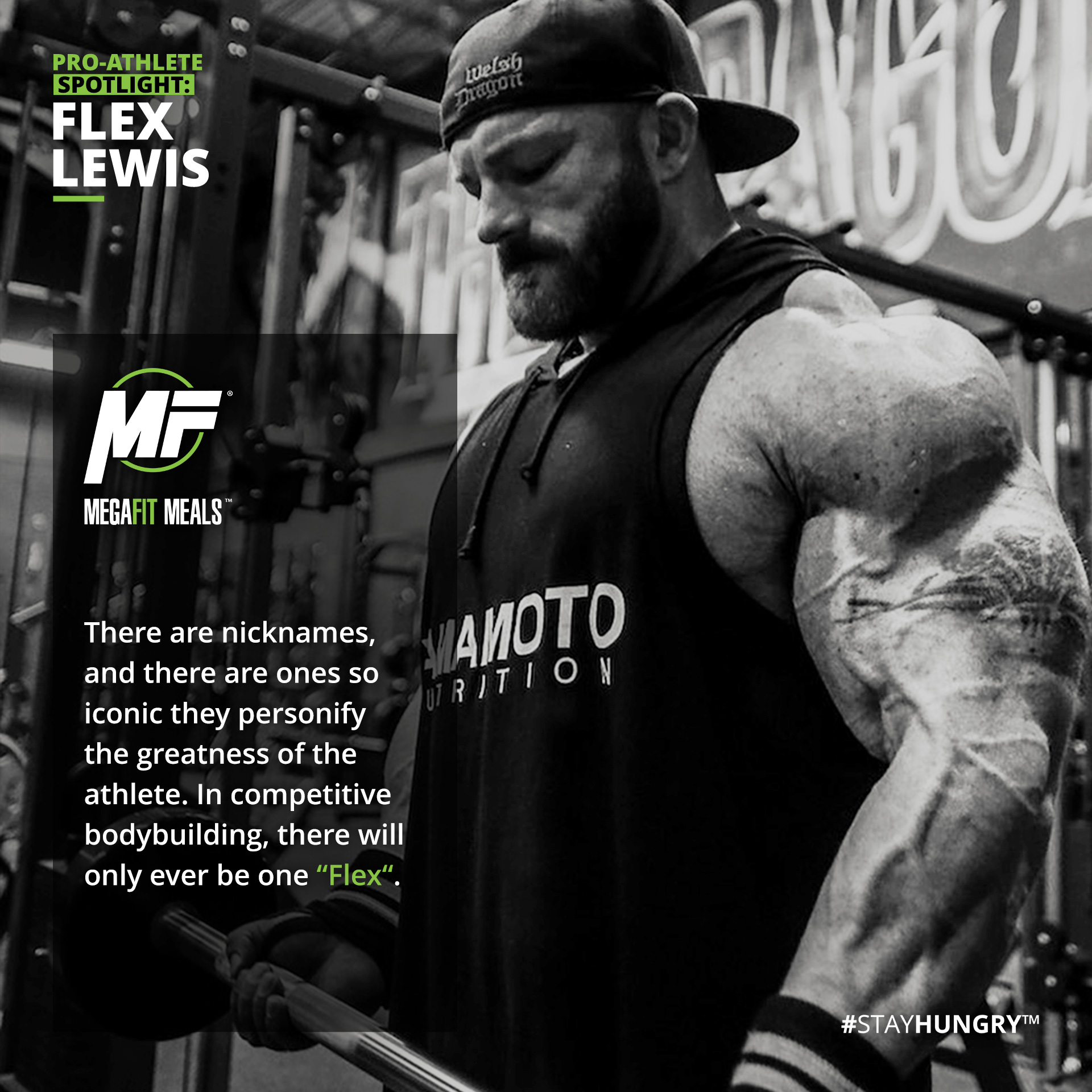 Make progress OR make excuses. MegaFit Meals