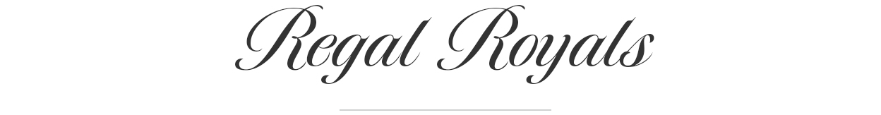 מוצרים חדשים