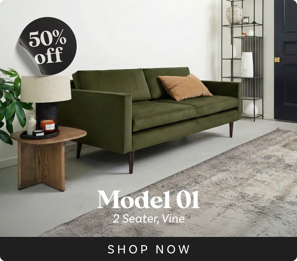 Model 01