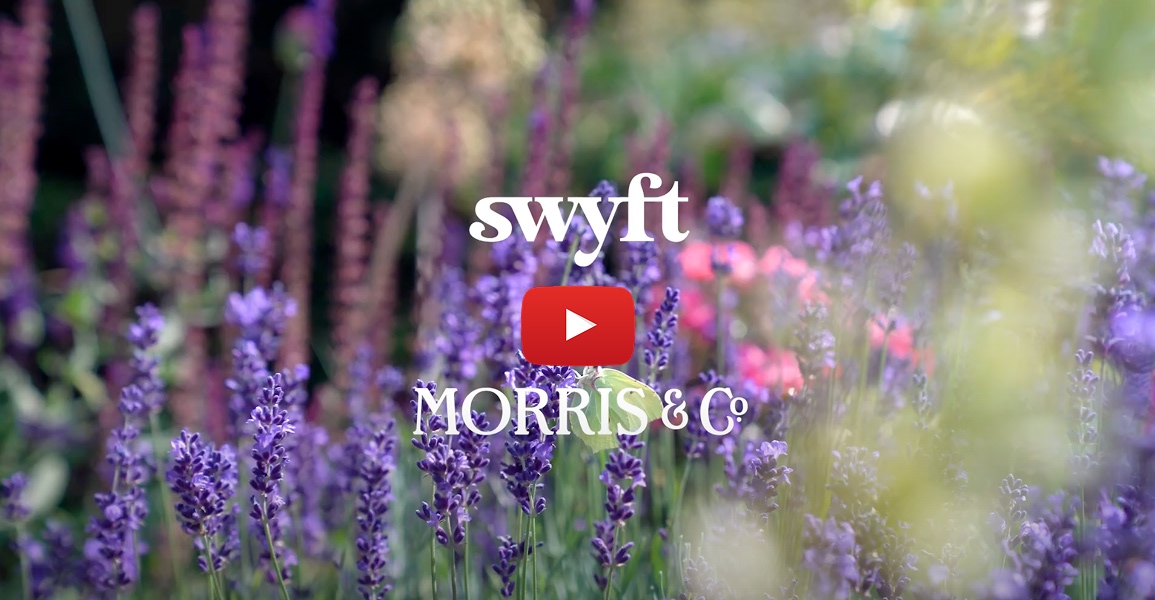 Swyft x Morris & Co Video