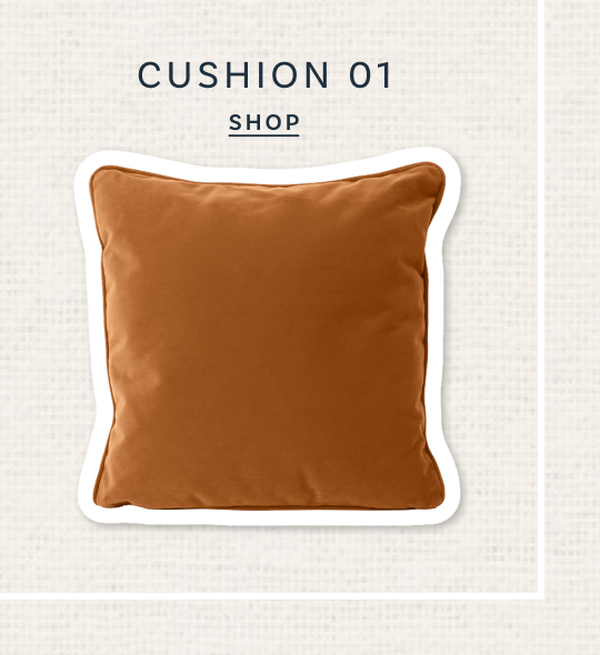 Cushion 01