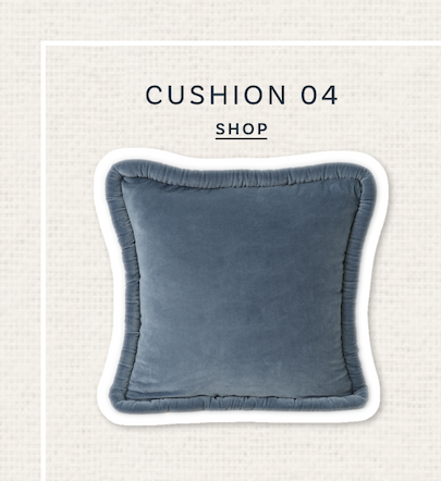 Cushion 04