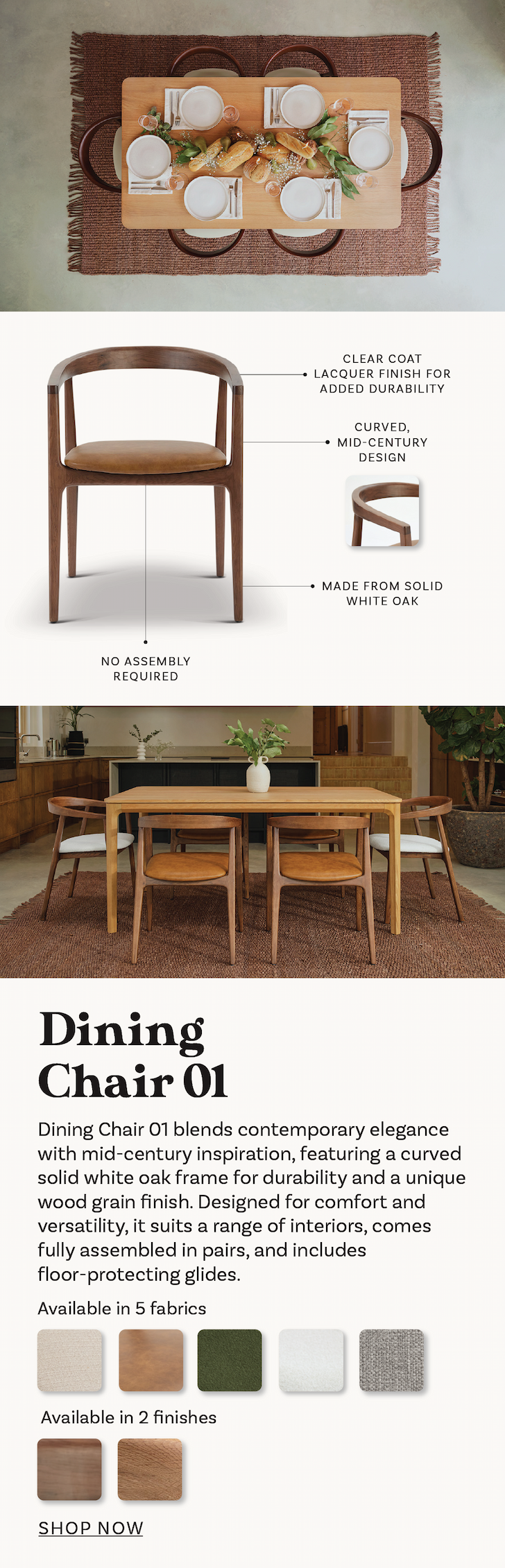 dining chair 01