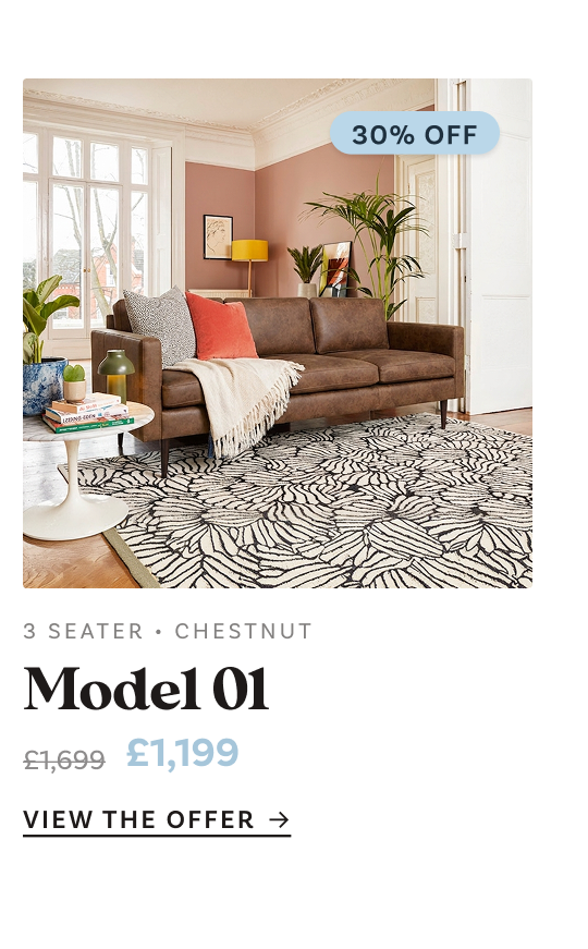 Model 01