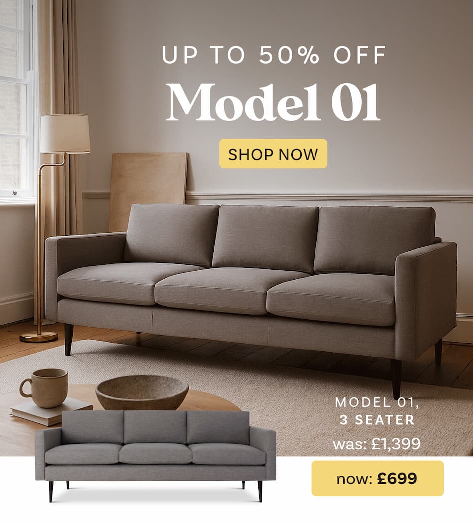 Model 01