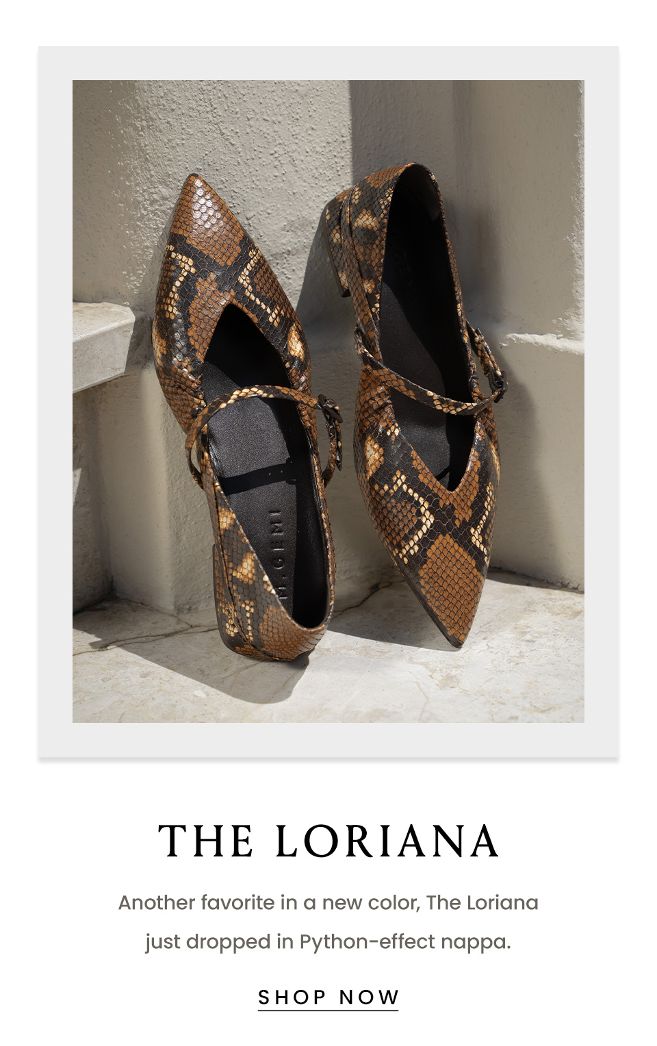The Loriana | Another favorite in a new color, The Loriana just dropped in Python-effect nappa. < Shop Now > 
