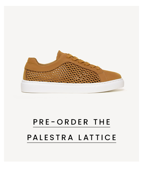 The Palestra Lattice