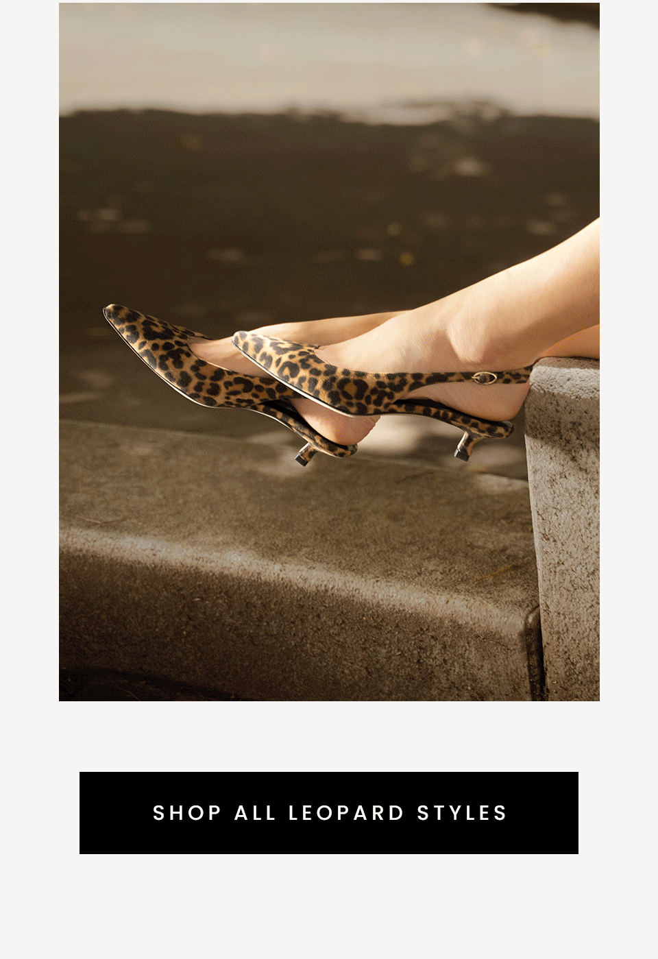 < Shop All Leopard Styles > 