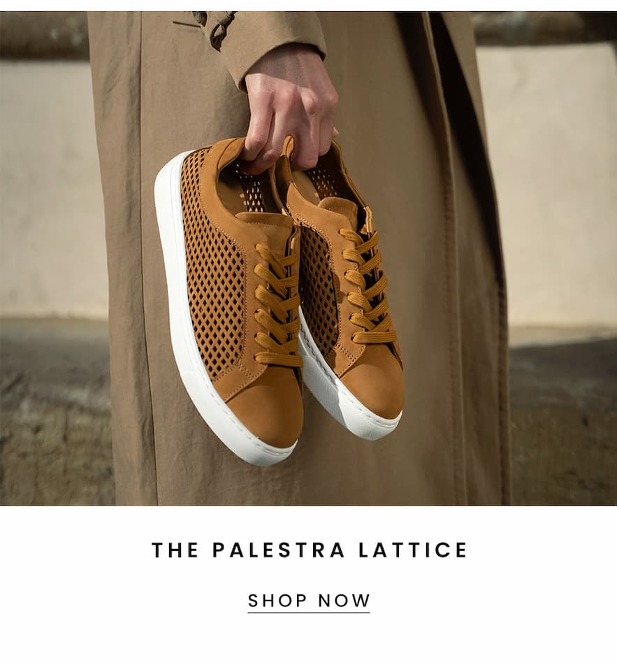 The Palestra Lattice 
