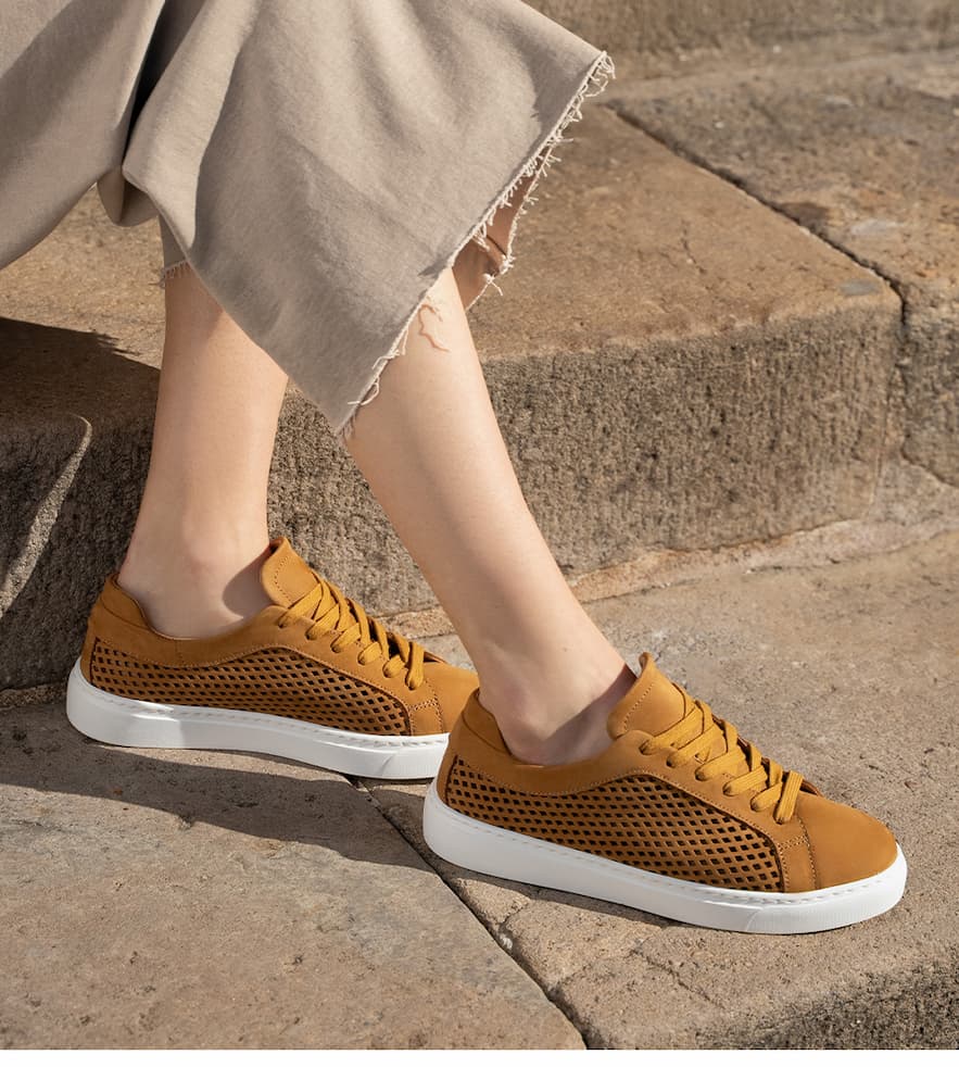 Pre-Order: Palestra Lattice