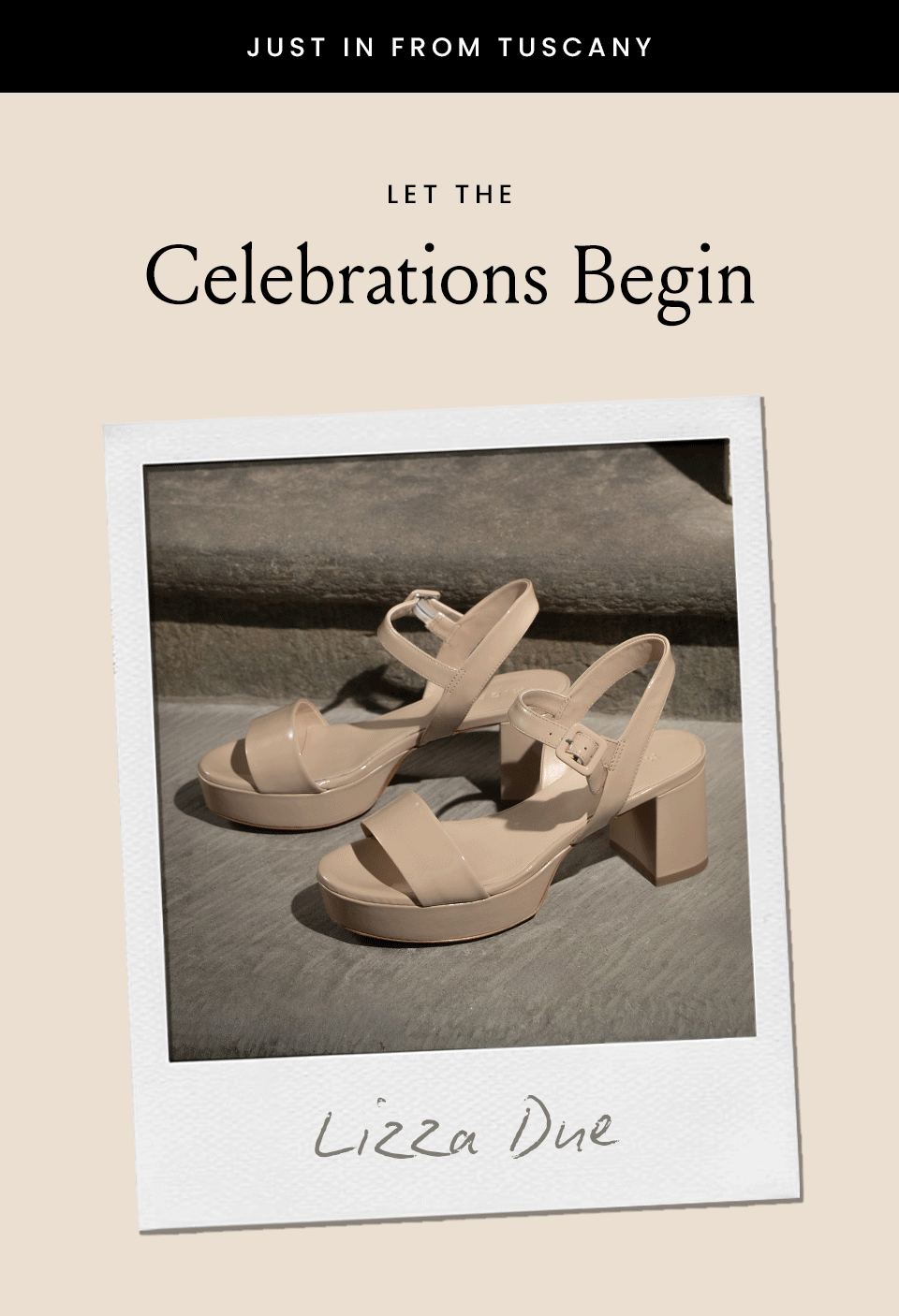 —Just in from Tuscany— Let The Celebrations Begin