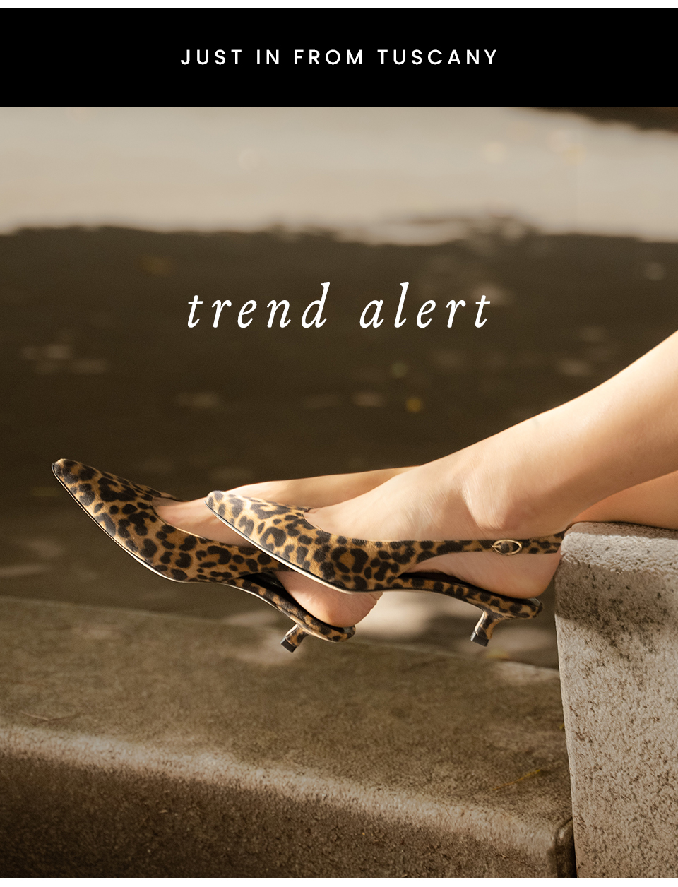 —Just In From Tuscany—   TREND ALERT