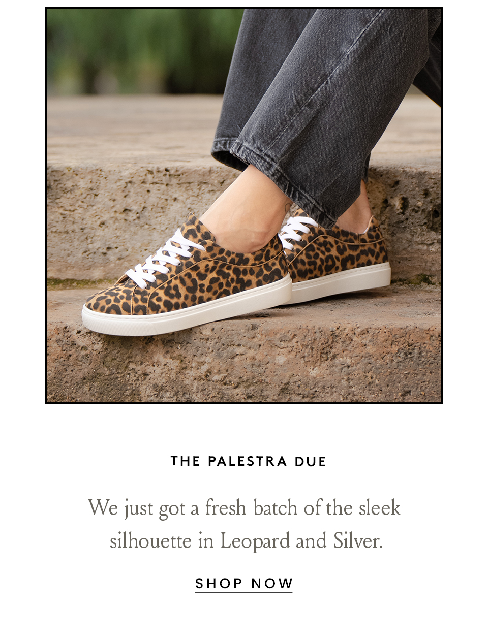 The Palestra Due   We just got a fresh batch of the sleek silhouette in Leopard and Silver.   < Shop Now > 