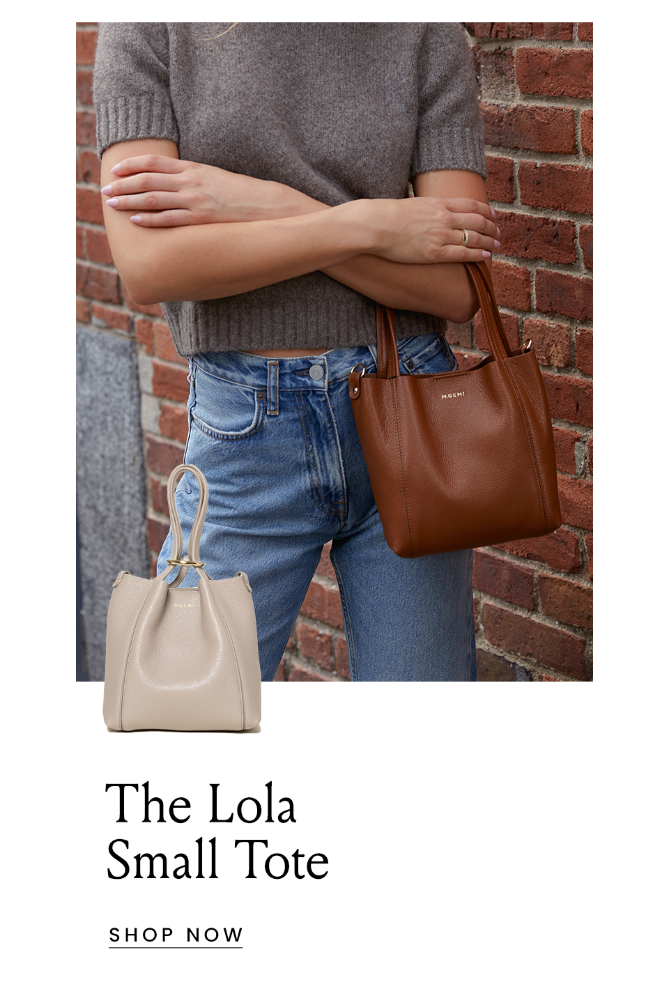 < Shop The Lola Small Tote >