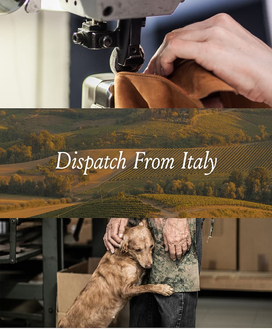 Dispatch From Italy 