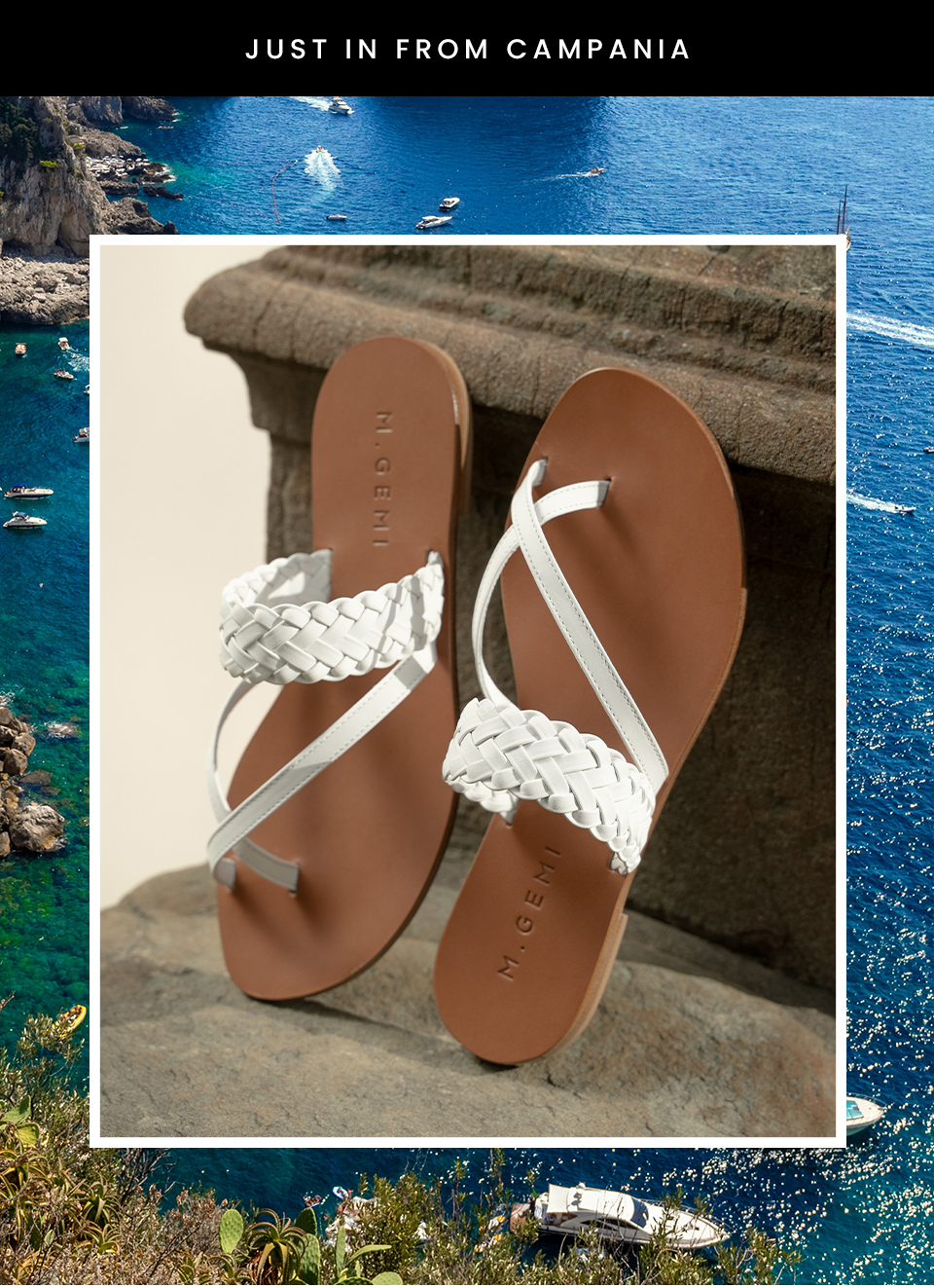 —Just in from Campania— 