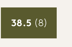 38.5 | 8