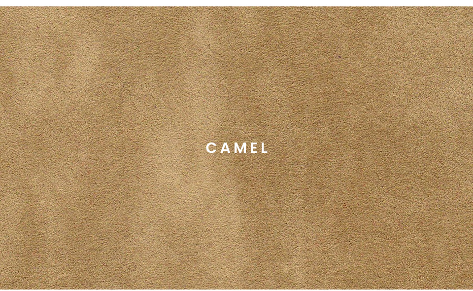 Camel