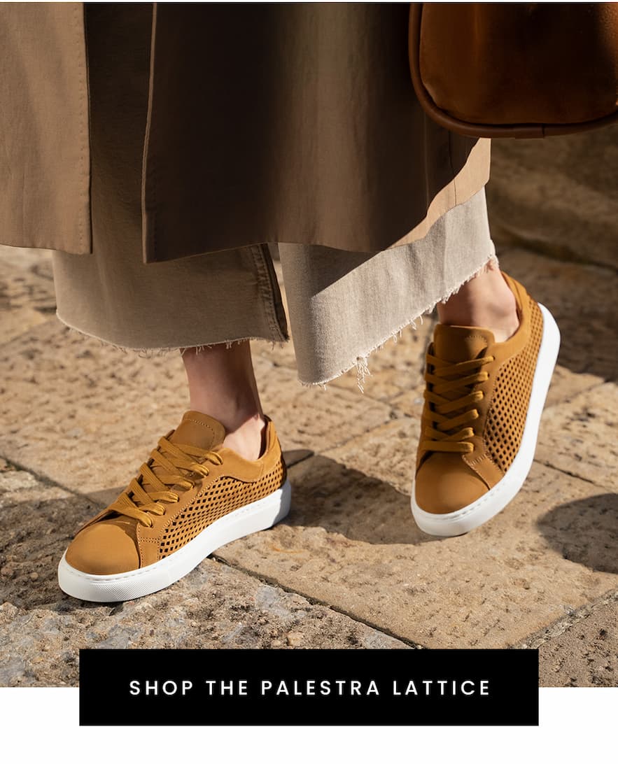 Shop The Palestra Lattice