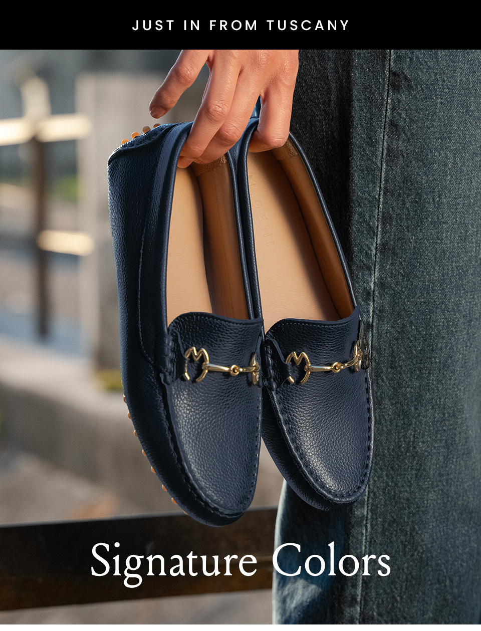 —Just In From Tuscany—  Signature Colors