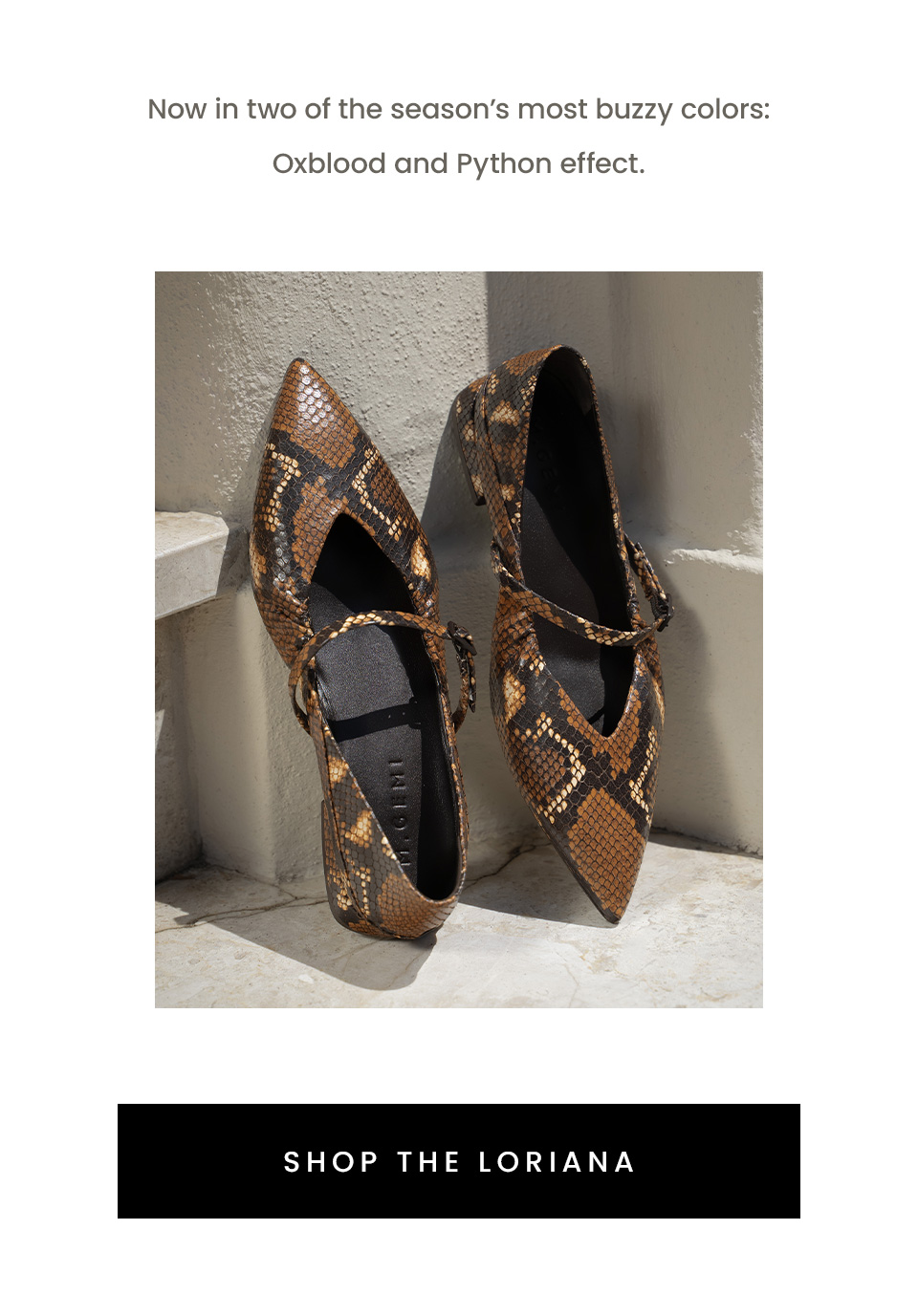 Now in two of the season’s most buzzy colors: Oxblood and Python effect. < Shop The Loriana > 