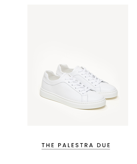 The Palestra Due