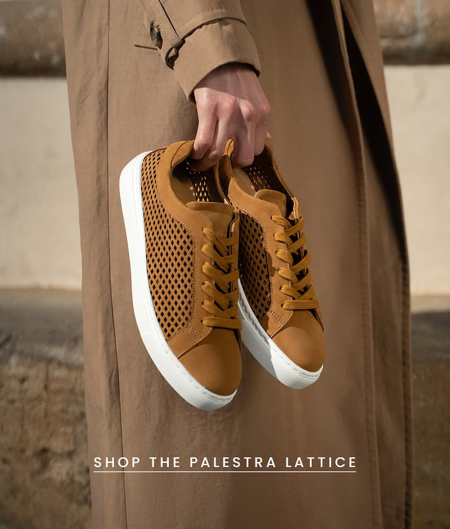 < Shop The Palestra Lattice  > 