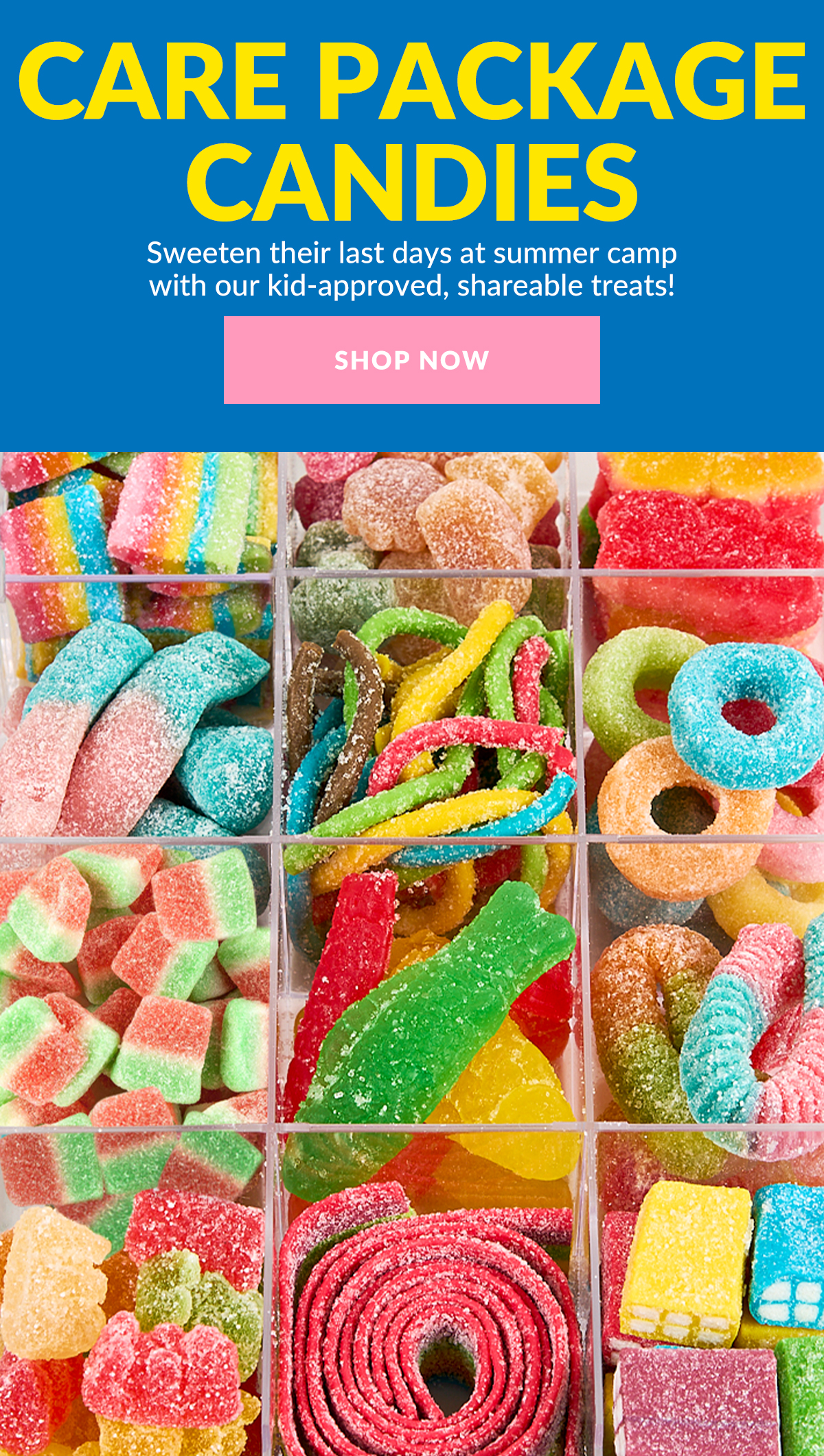 Shop Now