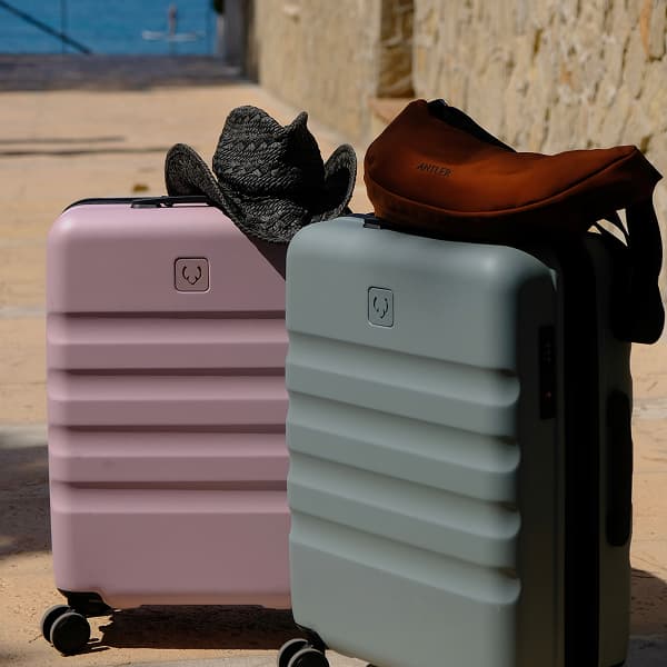 Antler Cabin Suitcases