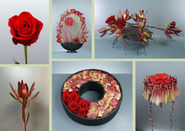 Floral designs by Mark Pampling for Flower Thinking's Design Solutions program.