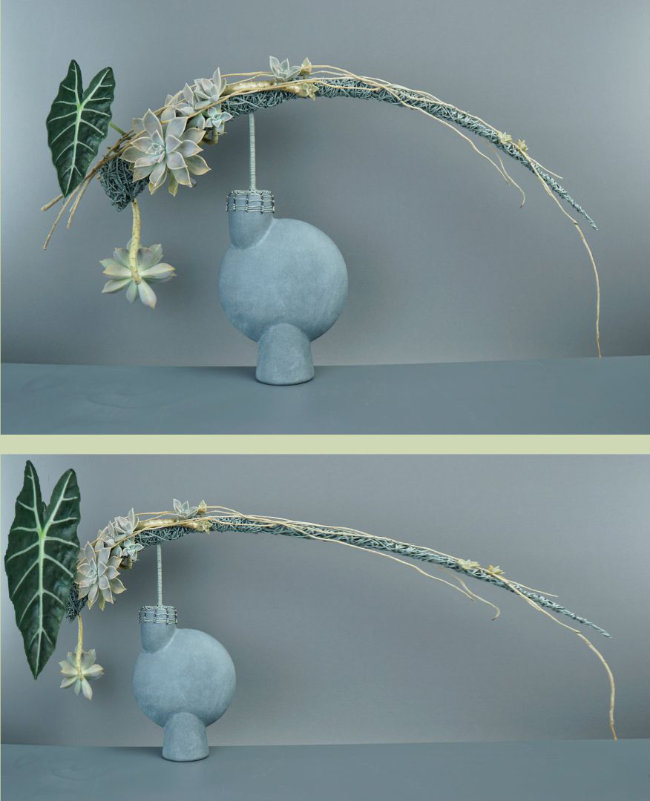 Floral design by Mark Pampling - digitally manipulated to highlight dynamic balance.