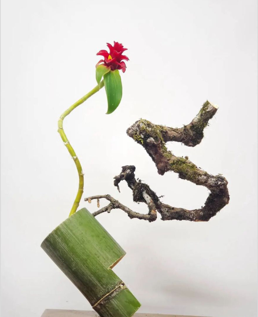 Design by Kazunori Kuboshima