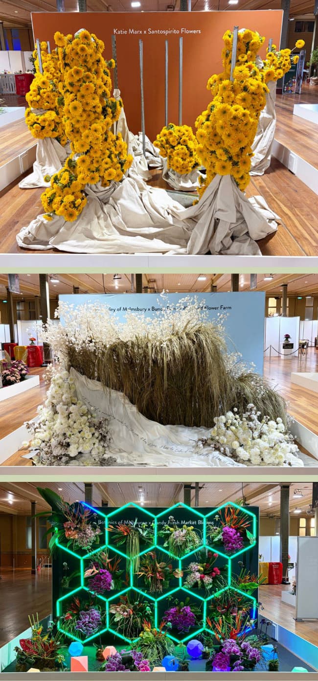 Petal Project Displays at 2026 Melbourne Flower Show.