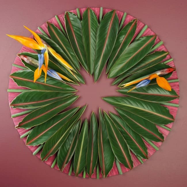 Top Tips for Floral Competition Success