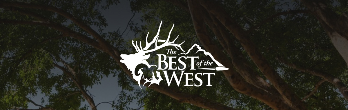 BOTW Website BOTW Website