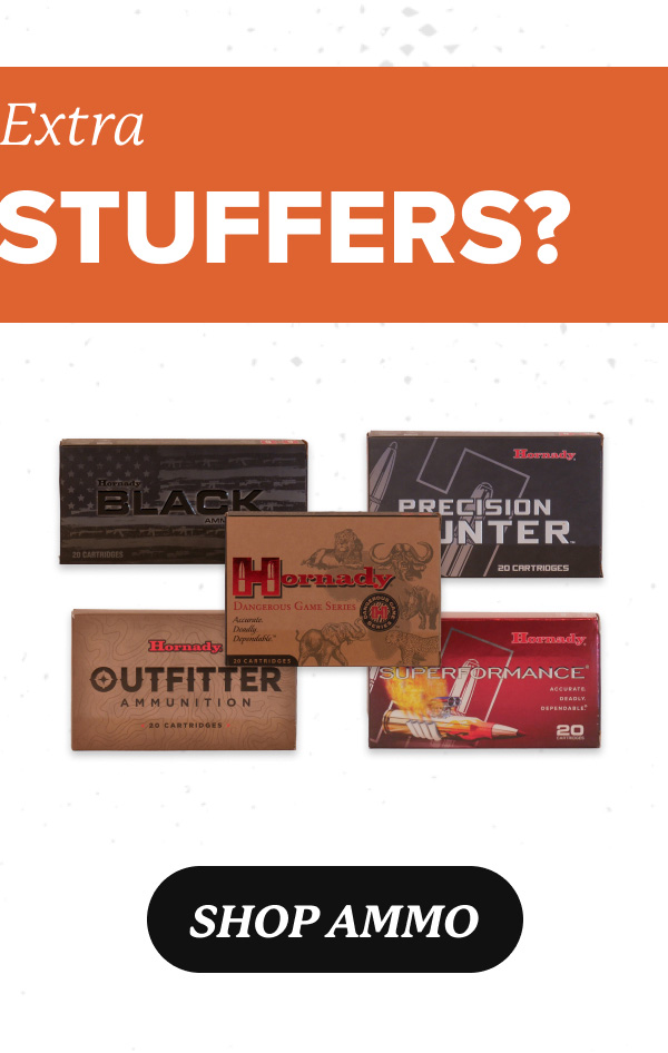 Shop Hornady Ammo