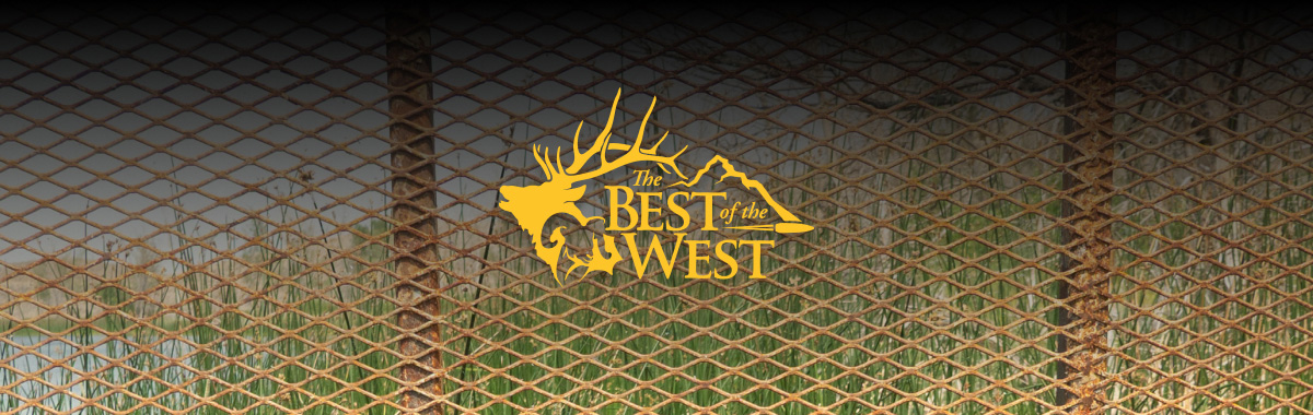 BOTW Website BOTW Website