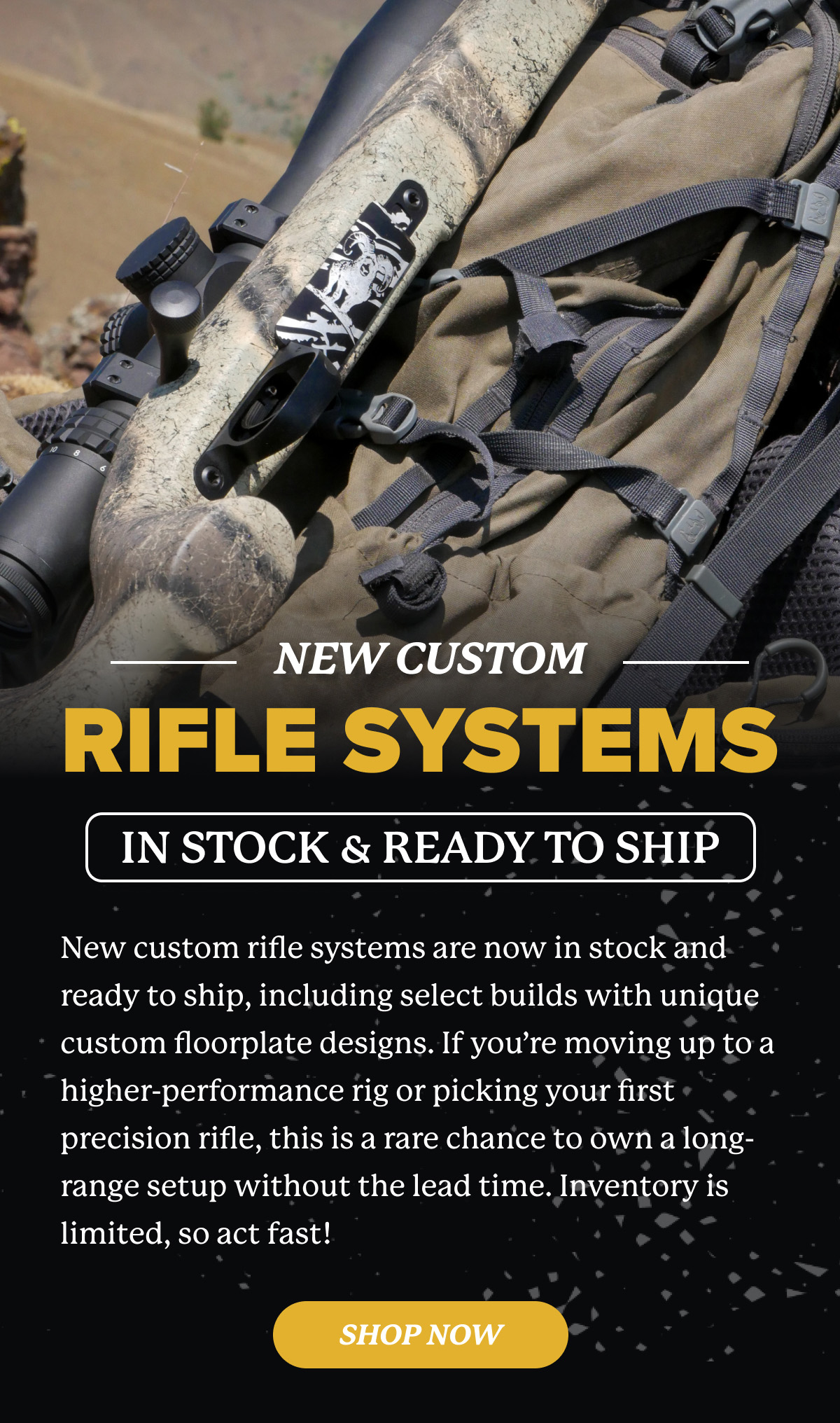 Shop In Stock Rifles Now!